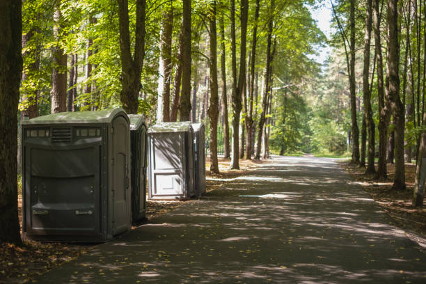 Best Local porta potty services  in Upper Lake, CA
